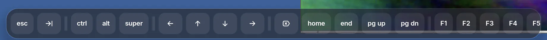 The special keys bar: esc, tab, ctrl, alt, super, arrow keys, home, end, page up, page down and F1 to F5.
